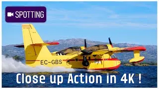 Canadair CL-215 Close Up Water Scooping with Air Tractor Fireboss | Portugal | 4K