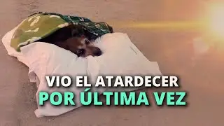 Cocoa le dijo adiós a la vida en su playa favorita