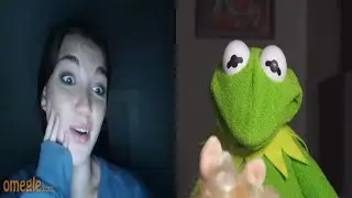 Kermit's back using pick-up lines on Omegle