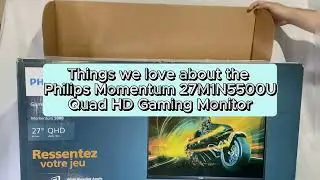 Philips Momentum 5000 Gaming Monitor Review