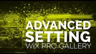 Changing Advanced Setting Of Wix Pro Gallery