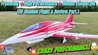 Freewing High Performance Stinger 90 90mm EDF Jet  Maiden Flight & Review Part.1