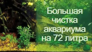 Большая чистка аквариума