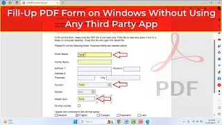 How to Fill Out a PDF Without Adobe Reader on Windows | No App Required