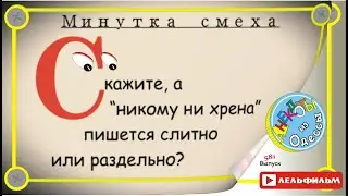 Минутка смеха Отборные одесские анекдоты 581_й выпуск