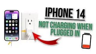 Why Is iPhone 14 Not Charging When Plugged In