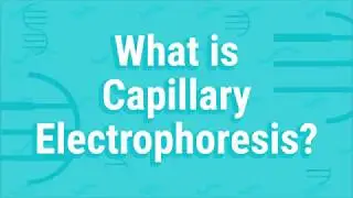 What Is Capillary Electrophoresis?