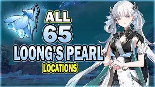 All 65 Loong's Pearl Locations in Wuthering Waves - Efficient Farming Route