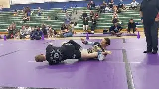 Black belt vs Blue belt (absolute division)