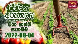 Rividina Arunella - වගා පාත්ති සැකසීම | 2022-09-04 | Agriculture Programme