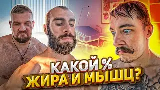 СКОЛЬКО МЫШЩ И ЖИРА У БЛУДА, ГОГИ, МАЛАНА И САРЫЧЕВА?