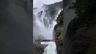 First Time Ever Early Morning Dudhsagar Waterfall View❤️😍 #dudhsagarwaterfalls #train #shorts