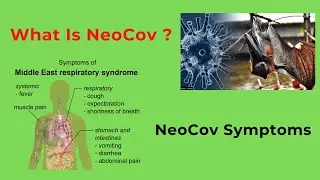 What Is NeoCOV ? | NeoCov Symptoms | Covid-19 New Variant |