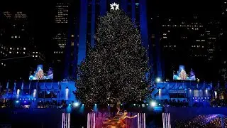 240 Miles and 50,000 Lights: The Rockefeller Center Tree