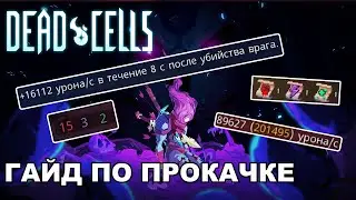 ПРОКАЧКА И ОРУЖИЕ В DEAD CELLS - КАК ДЕЛАТЬ ПРАВИЛЬНО?