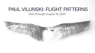 Paul Villinski: Flight Patterns