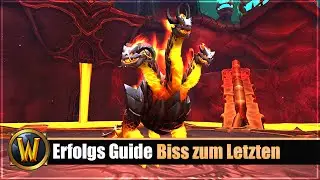 Erfolgs Guide: [Biss zum Letzten]