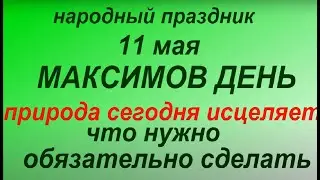 11 мая народный праздник Максимов день. Народные приметы и традиции. Что можно и нельзя делать.