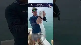 Поймал окуня размером с акулу 😱🎣🦈