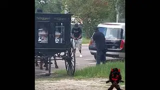 Foolio funeral casket horse and carriage revealed￼