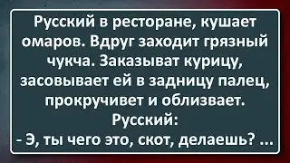 Русский в Ресторане ест Омаров, а Чукча Курицу! Сборник Анекдотов Синего Предела №163