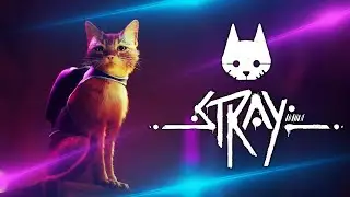 ФИНАЛ ➤ Stray #3