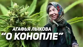 Агафья Лыкова 2019. Рассказ о конопле (with English subtitles)