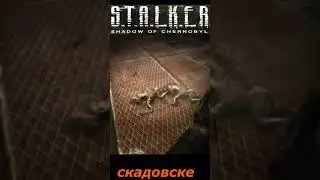 #SHORTS # НАРЕЗКА # тут в Скадовске полная жопа #🎮#ПРИКОЛ # S T A L K E R