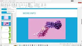 How To Add Speaker Notes in Powerpoint