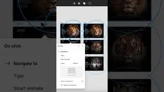 🦁 Carousel animation Figma 🐯