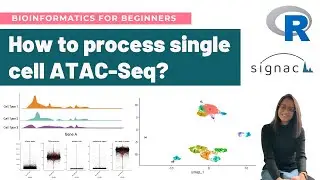 How to analyze single-cell ATAC-Seq data in R | Detailed Signac Workflow Tutorial