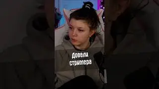 Довели стримера