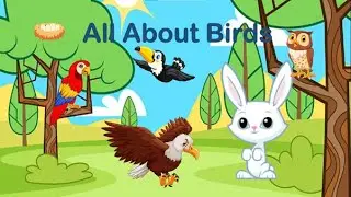 Discover Birds: Fun Facts for Kids About Our Feathered Friends! | All About Birds @bunnytales6401