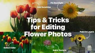 8 Expert Flower Photography Tips & Techniques