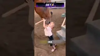 Лошади и ребенок 👧🏼🐴 