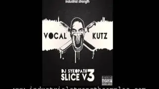 DJ Sykopath Slice Vol 3 - Vocal Kutz - Sample Pack