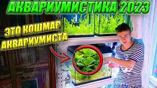 Аквариумистика 2023 От ЭТОГО нужно ИЗБАВЛЯТЬСЯ! ГЛАВА 1