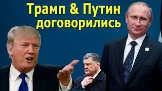 Украину будут 'ставить в стойло.' Трамп и Путин