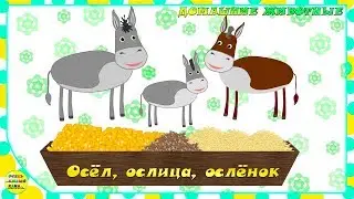 Учим животных:  осёл, ослица, ослёнок! Развивающие мультфильмы о животных