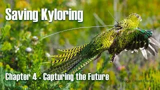 Saving Kyloring Chapter 4 - Capturing the Future