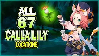 All 67 Calla Lily Locations - Efficient Farming Route - Diona & Kaeya Ascension Material | Genshin