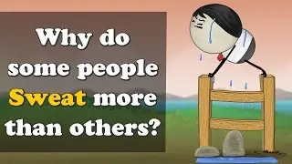 Why do some people Sweat more than others? + more videos | #aumsum #kids #education #children