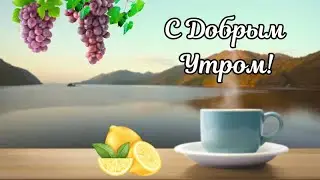 Доброе утро! С добрым утром! Доброго утра и хорошего дня!Добрый день 