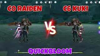 C0 Raiden vs C6 Kuki in C0 Alhaitham Quickbloom Team Gameplay Comparison! Who’s The Best Character??