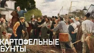 Картофельные бунты XIX века. Почему крестьяне массово отказывались сажать картошку?