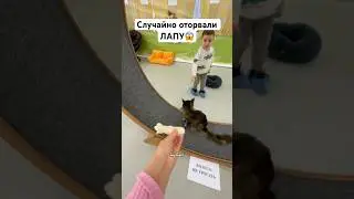 Испугался оторванной ЛАПЫ😱