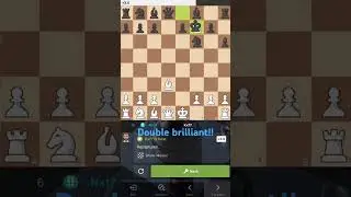 Double brilliant chess game!! #chess