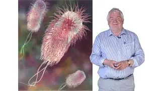 Synthetic Biology: Synthetic Biology and Escherichia coli - Steve Busby