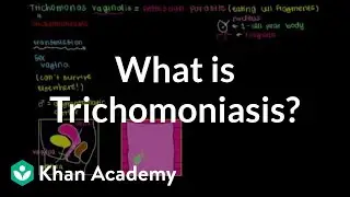 What is trichomoniasis? | Infectious diseases | NCLEX-RN | Khan Academy