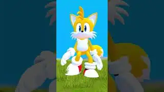 CHOOSE YOUR FAVORITE NEW SONIC TAPES FAMILY EVOLUTION in Garry's Mod | TAILS SHADOW KNUCKLES AMY !!